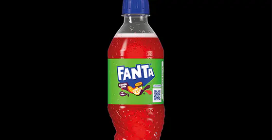 0,5L Fanta Exotic